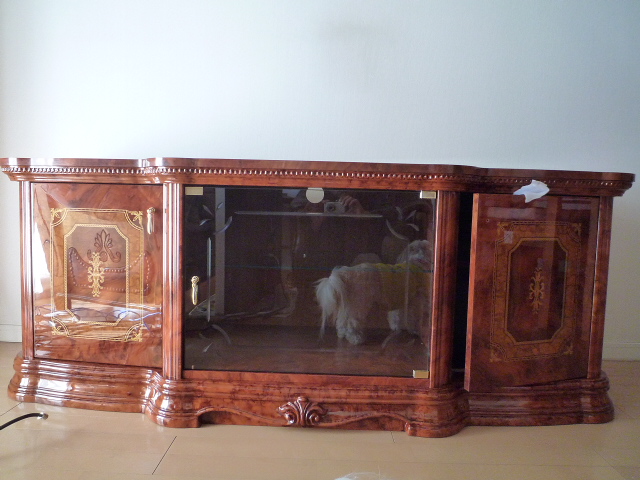 ふうちゃんの毎日　☆マル＆シーズーのMIX犬☆