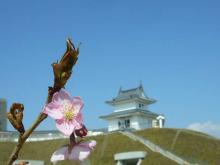 宇都宮城址公園