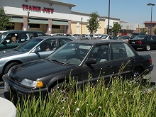 全米盗難車の人気トップはホンダ・シビック