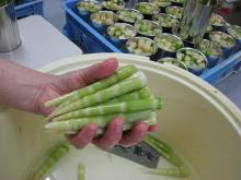 特産のすすたけ