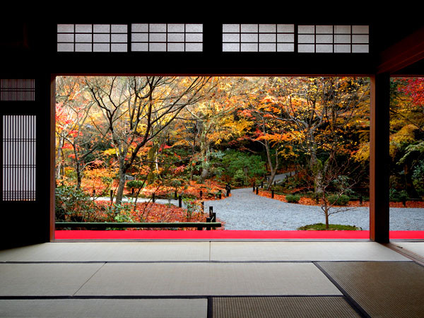 西陣に住んでます-円光寺